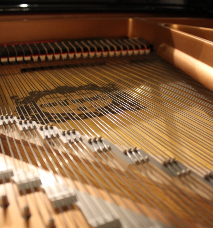 Do you want to buy a piano? Here are the most expensive ones
